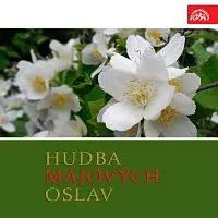 Různí interpreti – Hudba májových oslav