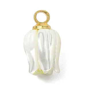 Natural Trochid Shell/Trochus Shell Carved Pendants