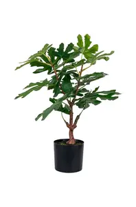 House Nordic  Umělý stromek v květináči  Fig tree