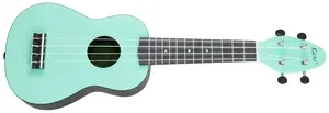 Ortega K2-CBM