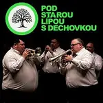 Různí interpreti – Pod starou lípou s dechovkou