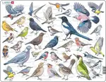 Vtáky v záhrade (ZOO4-SK) - puzzle z kategorie Naučné puzzle