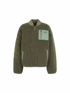 DICKIES Prechodná bunda  zelená / mätová