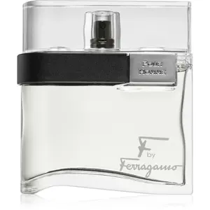 Ferragamo F by Ferragamo toaletná voda pre mužov 100 ml