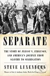 Separate (The Story of Plessy v. Ferguson, and America's Journey from Slavery to Segregation) - kniha z kategorie Humanitní a společenské vědy