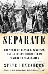 Separate (The Story of Plessy v. Ferguson, and America's Journey from Slavery to Segregation) - kniha z kategorie Humanitní a společenské vědy