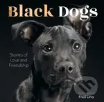 Black Dogs (Stories of Love and Friendship) - Fred Levy - kniha z kategorie Humanitní a společenské vědy