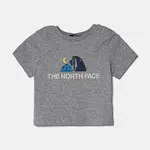 Dětské tričko The North Face KID GRAPHIC S/S TEE šedá barva, s potiskem, NF0A8AXEDYX1