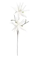 Umělá květina Bizzotto White Aloe Chinesis