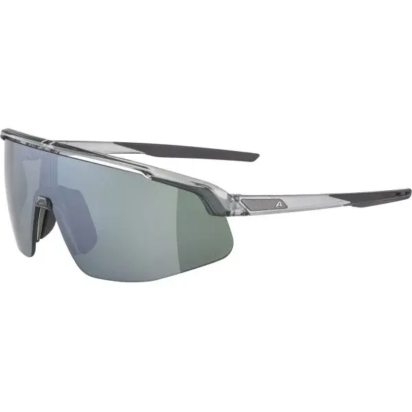 Alpina Sports TURBO PRO Q-LITE Slnečné okuliare, sivá, veľkosť