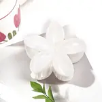 Resin Claw Hair Clips