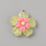 Transparent Resin Pendants
