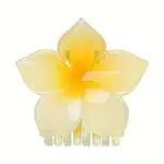 Plastic Claw Hair Clips