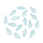 Transparent Acrylic Charms