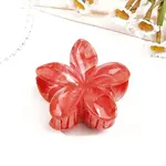 Resin Claw Hair Clips
