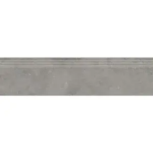 Schodovka Rako Dale elephant 30x120 cm reliéfna DCPVD880.1