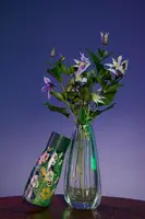 Termoláhev Medicine