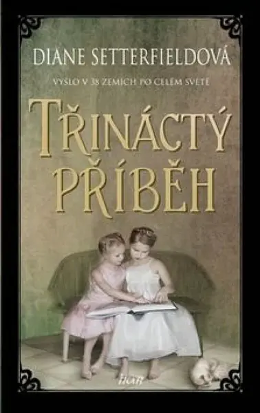 Třináctý příběh (poškozená) - Diane Setterfieldová