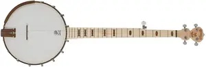 Deering Goodtime 5-String Openback