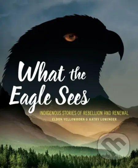 What the Eagle Sees (Indigenous Stories of Rebellion and Renewal) - kniha z kategorie Pro děti