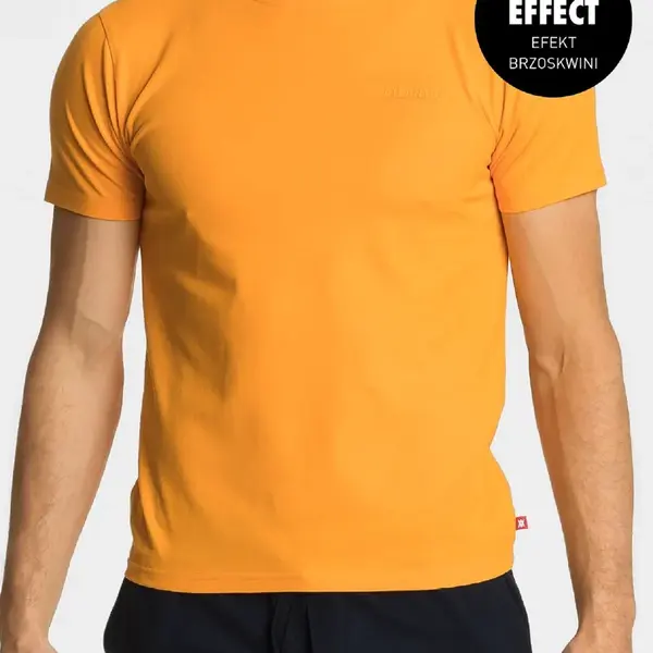 Pánské tričko s krátkým rukávem ATLANTIC - oranžové
