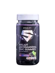 SWAGLIFT Shilajit + ashwagandha + zinek gummies s příchutí černého rybízu 60 ks