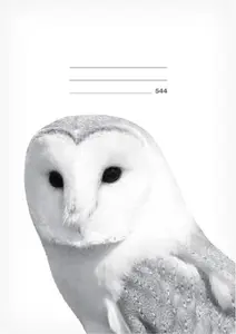 Školní sešit LUX A5 544 Sova