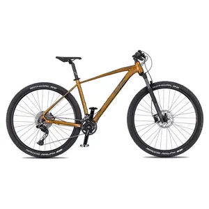 Horské kolo 4EVER Firetrack 29'' 10.0 L (19", 175-185 cm) dark gold / iron