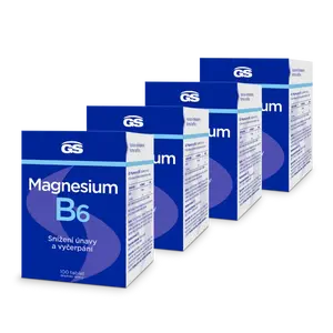 GS Magnesium s vitaminem B6, 400 tablet