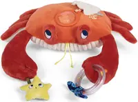 Velký senzorický krab