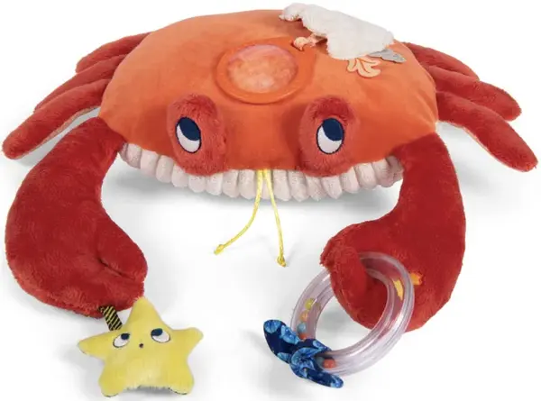 Velký senzorický krab