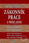 Komentovaný Zákonník práce s príkladmi (Nové mzdové zvýhodnenia) - kniha z kategorie Pracovní právo