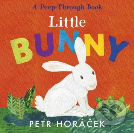 Little Bunny - Petr Horáček - kniha z kategorie Beletrie pro děti