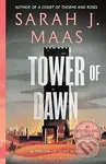 Tower of Dawn - Sarah J. Maas - kniha z kategorie Beletrie pro děti