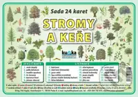 Sada 24 karet - stromy a keře - Petr Kupka - kniha z kategorie 1. stupeň