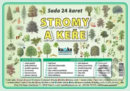 Sada 24 karet - stromy a keře - Petr Kupka - kniha z kategorie 1. stupeň
