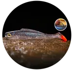 Redbass gumová nástraha ripper kicker super natur rt uv color - l 100 mm