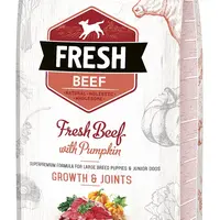 Brit Fresh Beef with Pumpkin Puppy Large 2,5 kg