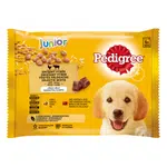 Pedigree Vital Protection Junior v hliníkovej kapsičke s kuracím mäsom a ryžou, s hovädzim mäsom a ryžou v aspiku 4 x 100 g