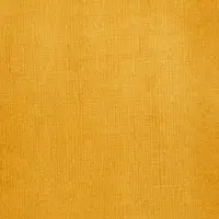Akrylový inkoust Liquitex 30ml – 332 Transparent Raw Sienna