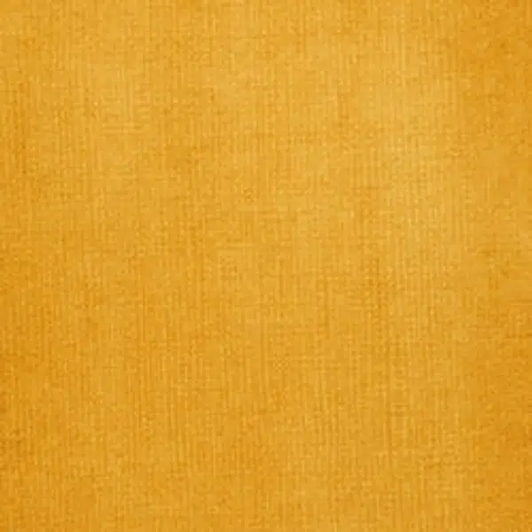 Akrylový inkoust Liquitex 30ml – 332 Transparent Raw Sienna