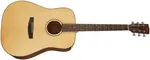 Cort Earth 60 NAT