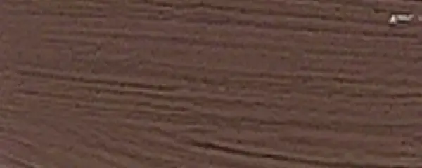 Kvašová barva Renesans 20ml – 25 Van Dyckova hněď