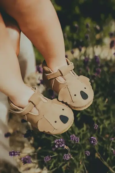 Kožené topánky pre bábätká Donsje Spark Classic Shoes Koala