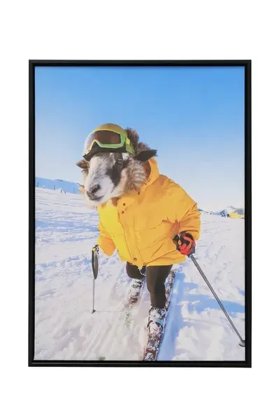 Nástěnná dekorace v rámu Boltze Skian 40 x 55 cm více barev