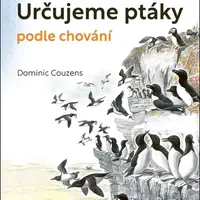 Určujeme ptáky podle chování