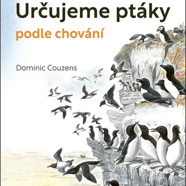 Určujeme ptáky podle chování