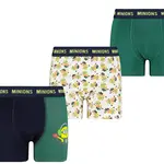 Chlapecké boxerky Licensed