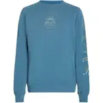 O'Neill BEACH VINTAGE Dámska mikina, modrá, veľkosť