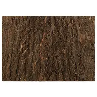Pozadí Repti Planet korek přírodní 58,5x41x2cm